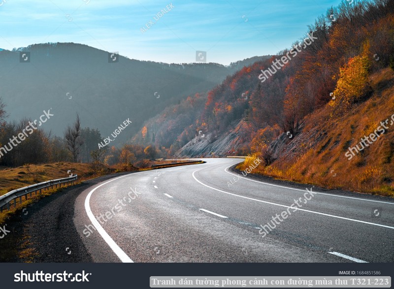 Tranh dán tường phong cảnh con đường mùa thu T321-223